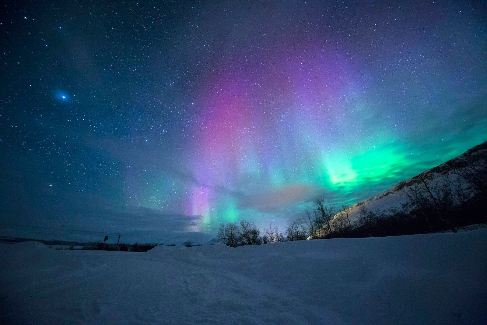 Aurora boreal verde e violeta sobre paisagem nevada no Alasca