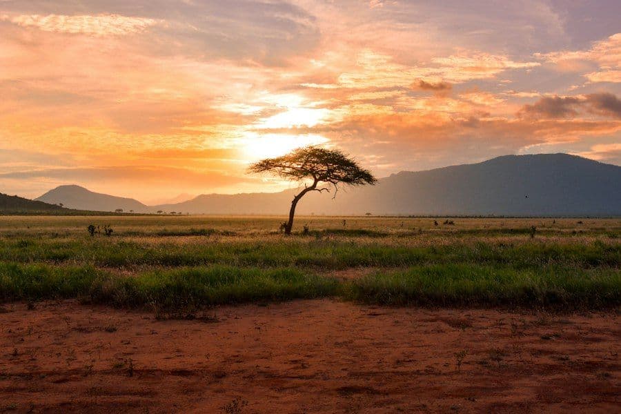 Dunas de areia vermelha no deserto da Namíbia